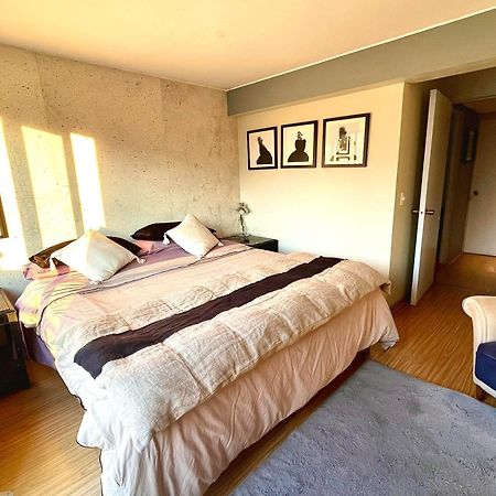 Departamento Delux Apartment Santiago de Chile Bagian luar foto